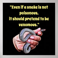 hand holding baby snake quote reptile animals art