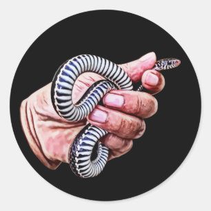 hand holding baby snake reptile animals art classic round sticker