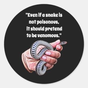 hand holding baby snake reptile quotes art classic round sticker