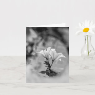 Hand Holding Lilies – Black and White Condolence Card