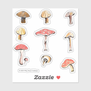 Hand-Illustrated Mushrooms Whimsical Woodland