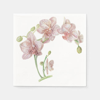 Hand Illustrated Orchid Napkin
