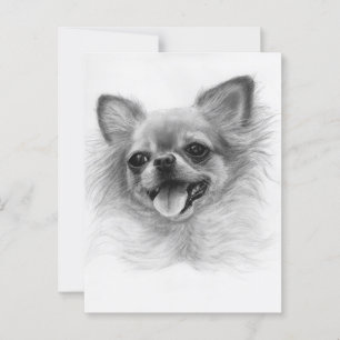 Hand Painted Beauty-Chihuahua Artwork Postcard