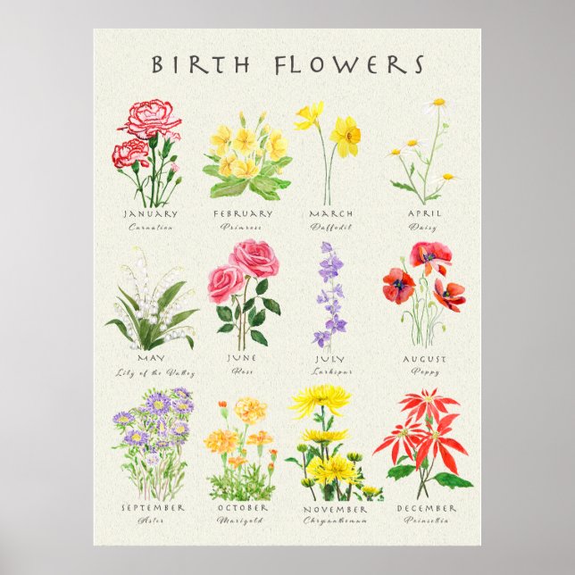 Hand painted birth month flowers watercolour arts  poster (Front)