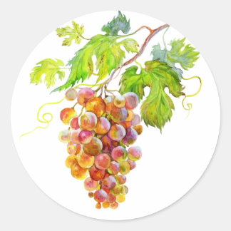 Hand painted bunch of grapes Classic Round Sticker