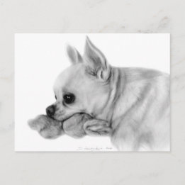 Hand Painted Chihuahua Bela With Favourite Toy Postcard