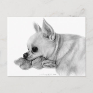 Hand Painted Chihuahua Bela With Favourite Toy Postcard