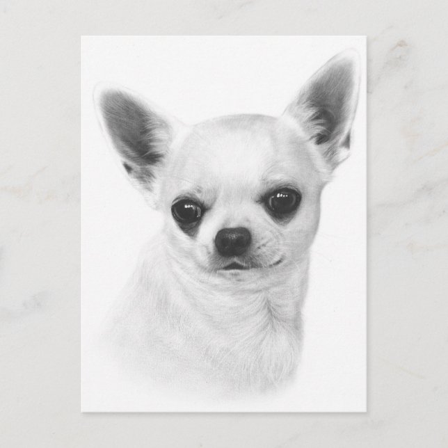 Hand Painted Chihuahua Expression Postcard (Front)