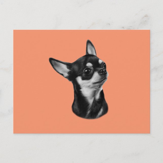Hand painted chihuahua postcard (Front)