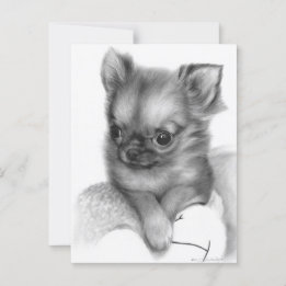 Hand Painted Chihuahua Puppy - Gentle Gaze Postcard