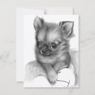 Hand Painted Chihuahua Puppy - Gentle Gaze Postcard