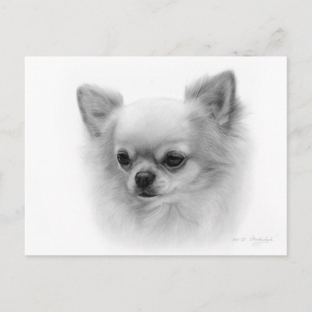 Hand Painted Chihuahua with Soulful Eyes Postcard (Front)