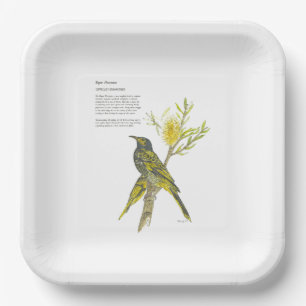 Hand Painted Endangered Honeyeater Paper Plate