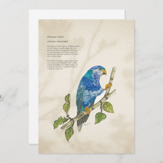 Hand Painted Endangered Lorikeet Greeting Card (Front/Back)