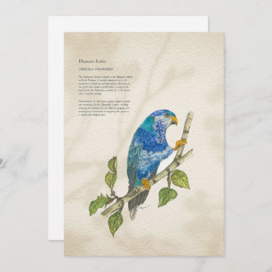 Hand Painted Endangered Lorikeet Greeting Card