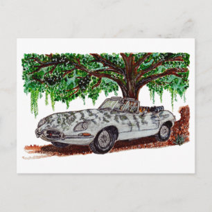 Hand Painted Jaguar E-Type Convertible Watercolor  Postcard