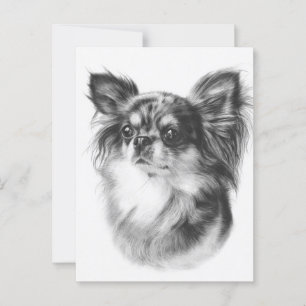 Hand Painted Merle Chihuahua Pet Portrait Postcard