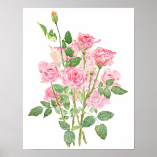 hand painted pink rose watercolour poster