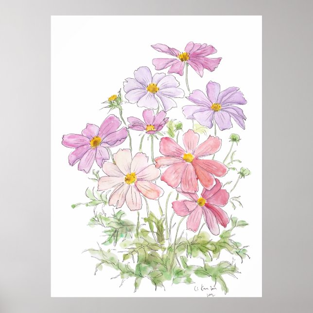 hand painted purple and pink cosmos flowers ink an poster (Front)