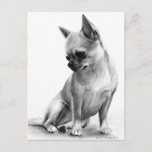 Hand Painted Thoughtful Chihuahua Artwork Postcard (Front)