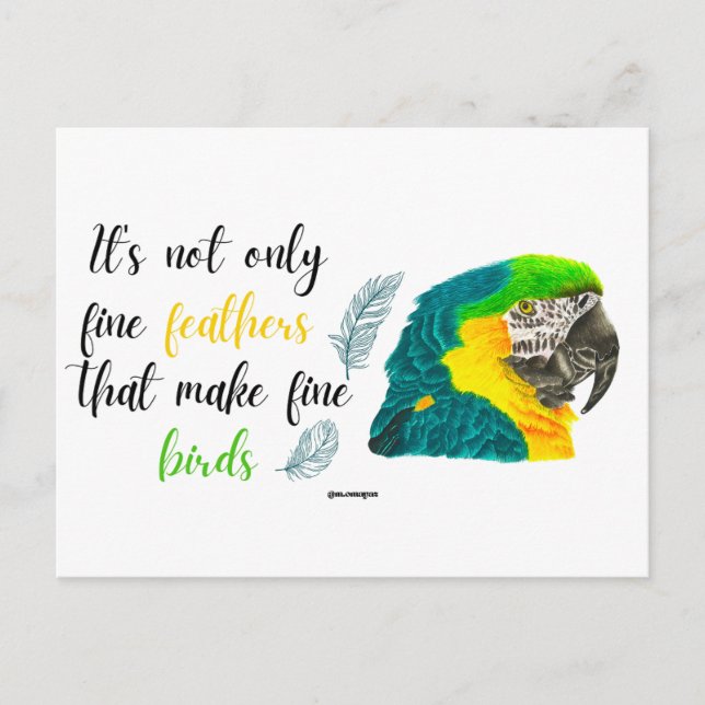 hand-painted watercolor parrot design. postcard (Front)