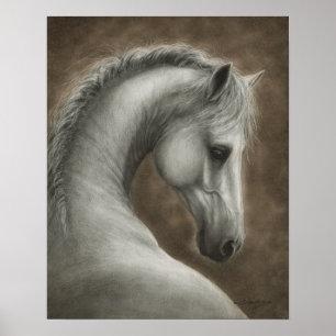 Hand Painted White Horse Portrait Poster