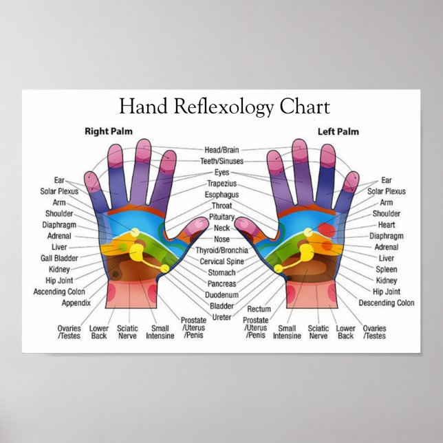 Hand Reflexology 14x10" Poster (Front)