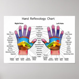 Hand Reflexology 14x10" Poster
