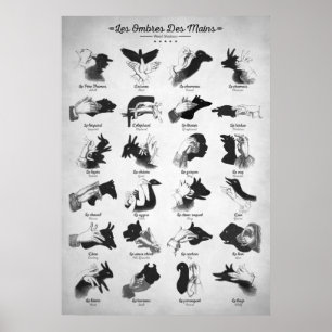 Hand Shadows Poster