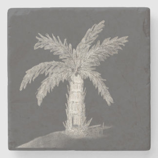 Hand sketched bottle palm tree with fronds stone coaster