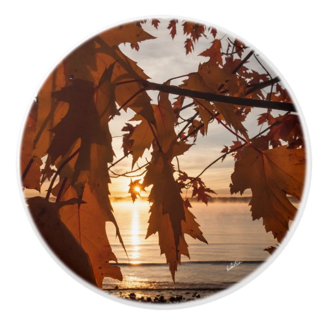 Handle of photo door breaks into leaf of maples ceramic knob (Front)