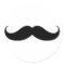 Handlebar Moustache / Moustache