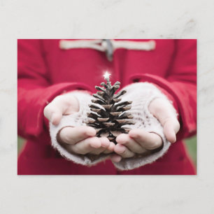 Hands holding a pine cone with a silver star postcard