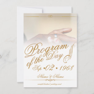 Hands of a coloured wedding couple pin on ring gol