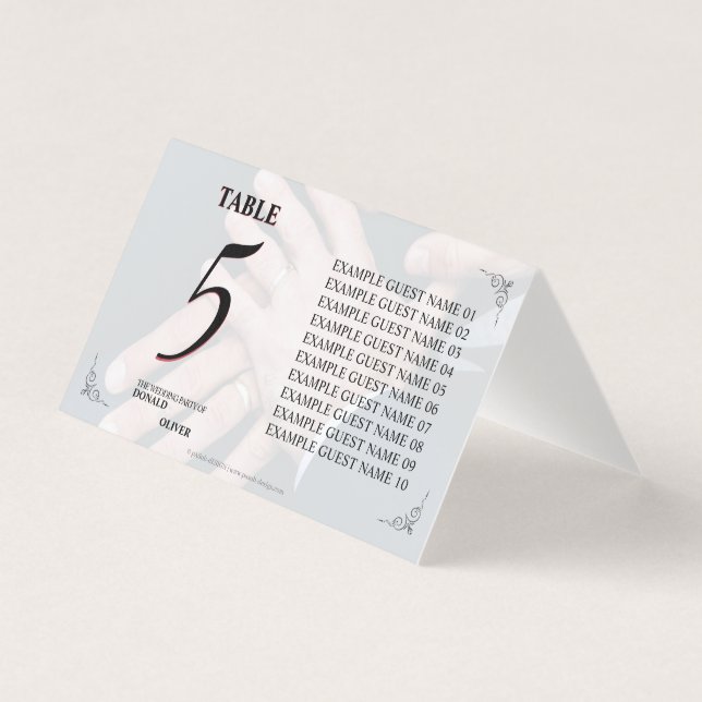 Hands of a Gay Wedding Couple with Rings (Front)