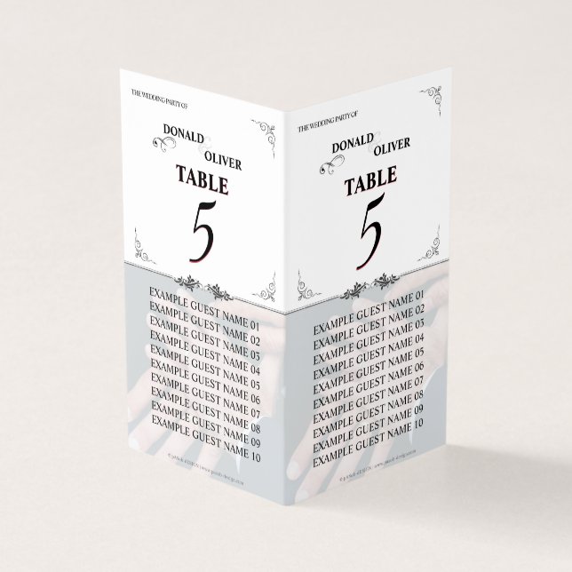 Hands of a Gay Wedding Couple with Rings (Outside)