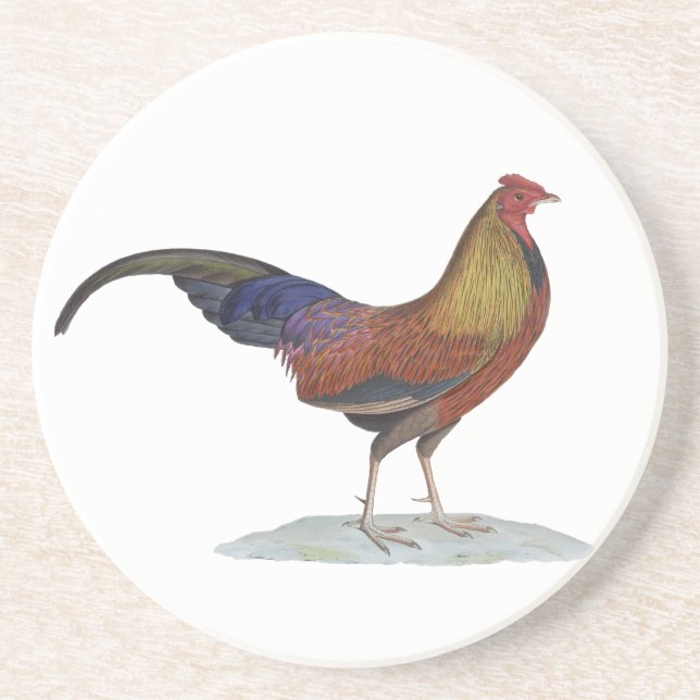 Handsome Alert Rooster Coaster (Front)