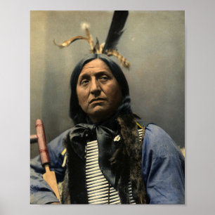 HANDSOME AMERICAN INDIAN POSTER