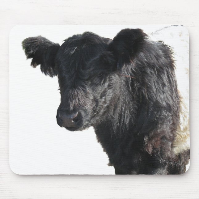 Handsome Belted Galloway Steer Mouse Pad (Front)