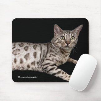 Handsome Bengal Cat Chillaxing in the Condo Mouse Pad