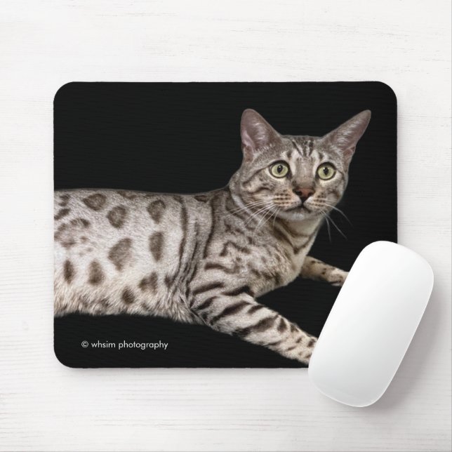 Handsome Bengal Cat Chillaxing in the Condo Mouse Pad (With Mouse)