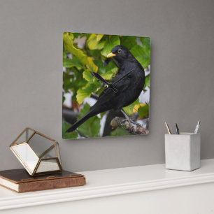 Handsome Blackbird Square Wall Clock