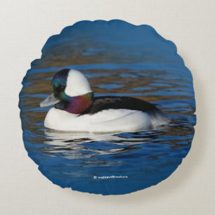 Handsome Bufflehead Duck at the Winter Pond Round Cushion