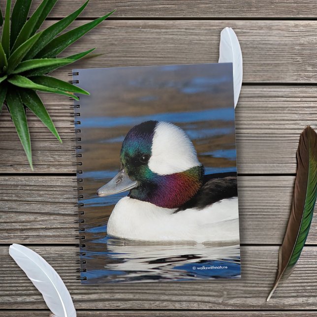 Handsome Bufflehead Duck at the Winter Pond Spiral Notebook (Handsome Bufflehead Duck in the Pond Journal Cover Photo)