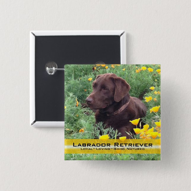 Handsome Chocolate Lab in California Poppy Patch 15 Cm Square Badge (Front & Back)