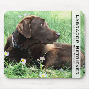Handsome Chocolate Labrador Retriever Pet Dog Mouse Pad