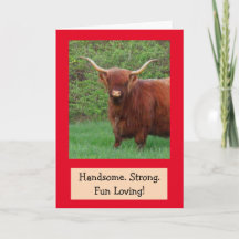 Handsome Funny Highland Steer Birthday
