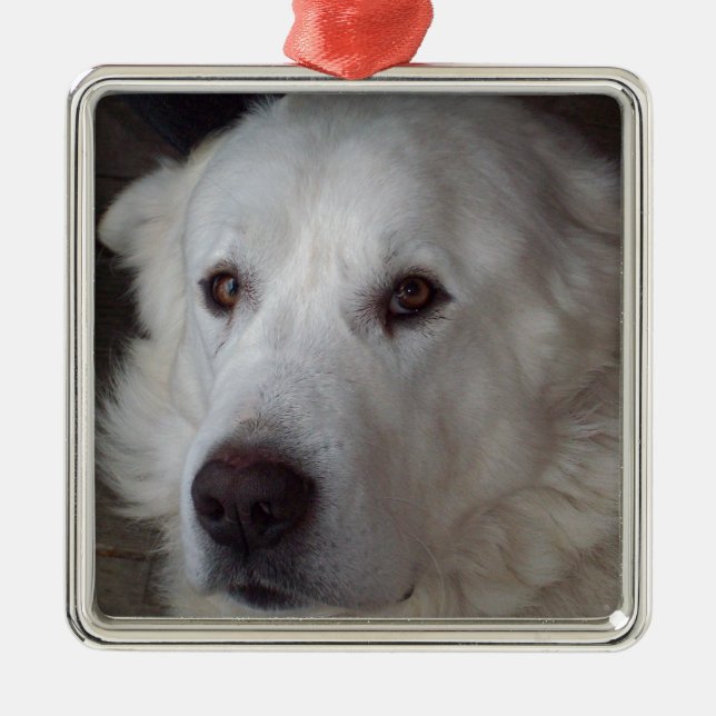 Handsome Great Pyrenees Dog Metal Tree Decoration (Front)
