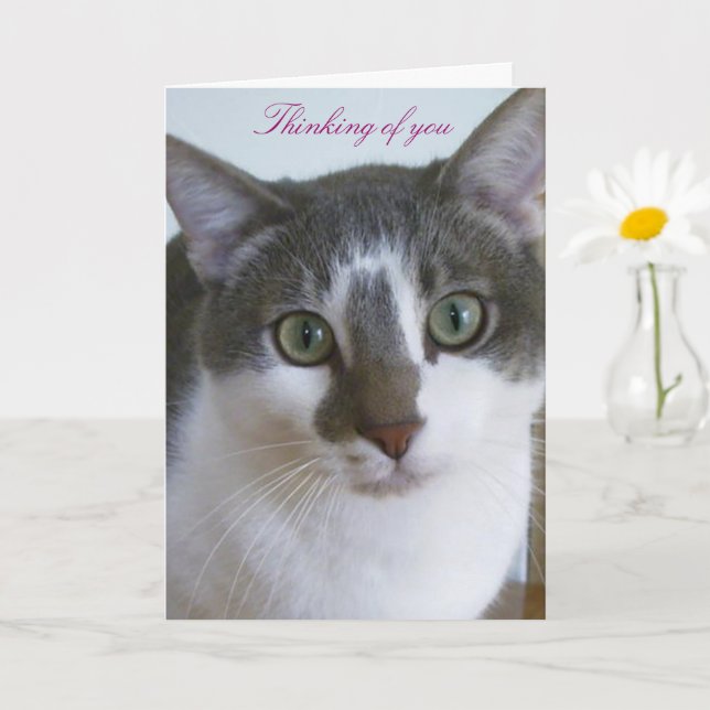 Handsome Grey and White cat-Thinking of You Card (Small Plant)
