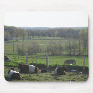 Handsome Herd of Belties Relaxing Mouse Pad